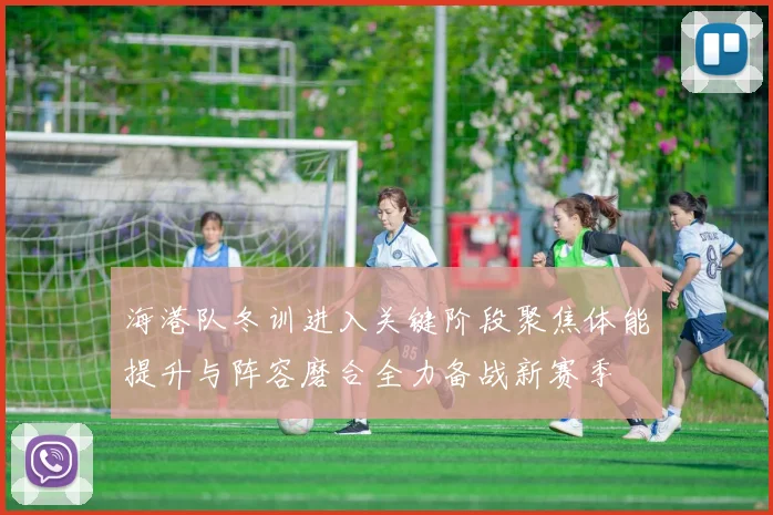 海港队冬训进入关键阶段聚焦体能提升与阵容磨合全力备战新赛季