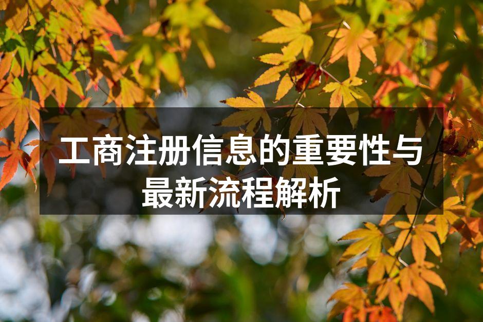 企业注册信息的审核流程