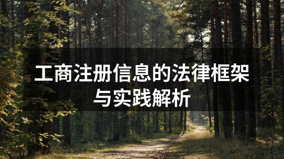 工商注册流程图示