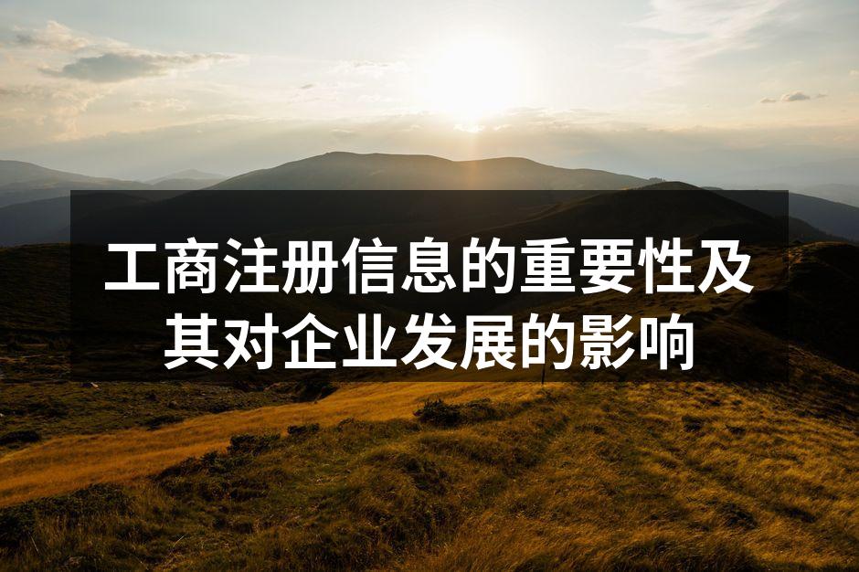 工商注册信息示例