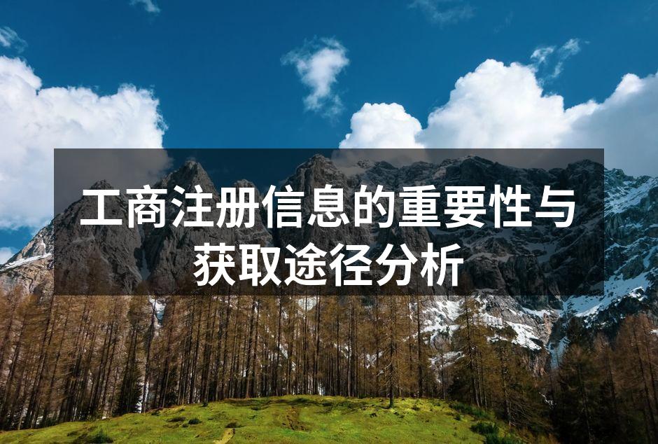 工商注册信息查询示例