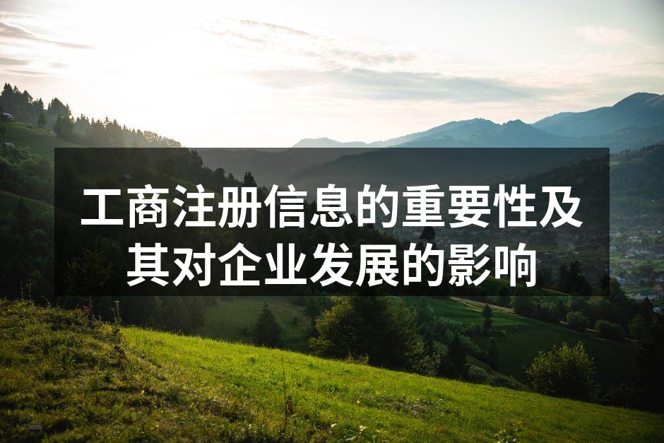 工商注册流程示意图