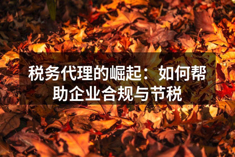 税务代理助力企业合规